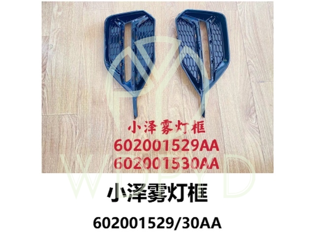 602001529AA