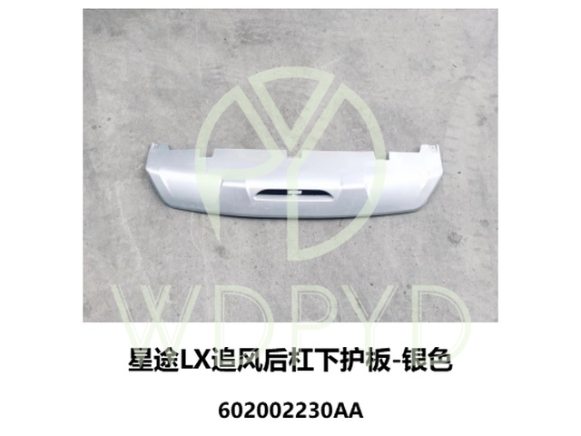 602002230AA